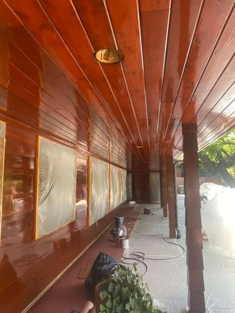 Expert wood siding and porch painting services for a polished home exterior.